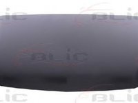 Capota HONDA ACCORD VII CL BLIC 6803002926281P