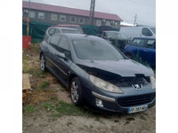 Capota portbagaj Peugeot 407