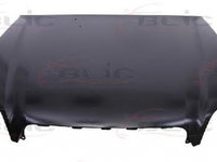 Capota SUBARU LEGACY III BE BH BLIC 6803006711282P PieseDeTop