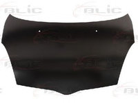 Capota TOYOTA YARIS VERSO NLP2 NCP2 BLIC 6803008109283P PieseDeTop