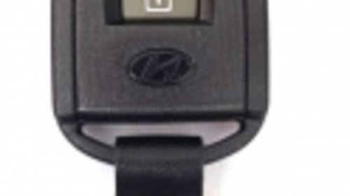 Carcasa cheie pentru Hyundai Sonata 3 butoane