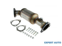 Catalizator Audi A4 (2000-2004) [8E2, B6] #1 813189DX