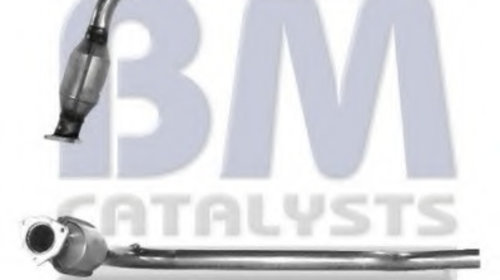 Catalizator BM80025H BM CATALYSTS pentru Vw E