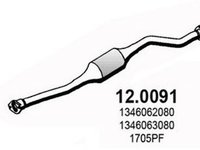 Catalizator CITROEN JUMPER caroserie 244 ASSO 120091