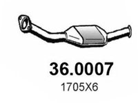 Catalizator CITROEN XSARA Break N2 ASSO 360007