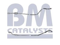 Catalizator RENAULT LAGUNA II BG0 1 BM CATALYSTS BM80169H