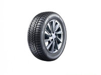 Cauciuc 225/50 r17 iarna UNIVERSAL Universal 225/50 R17