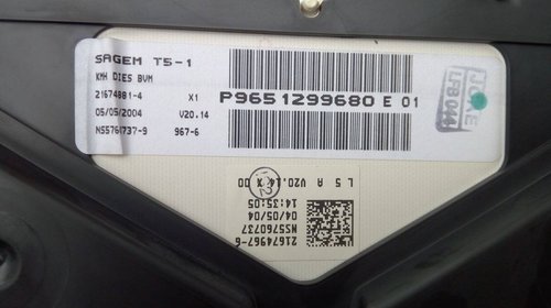 Ceasuri bord peugeot 307 1.6 hdi