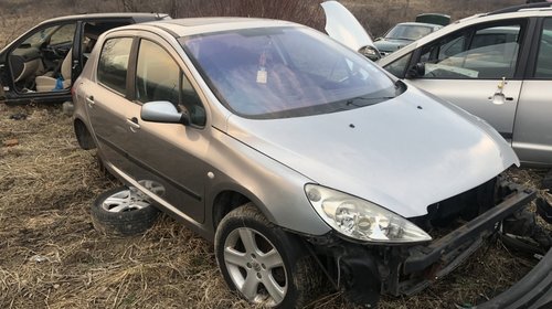 Ceasuri bord Peugeot 307 2003 Hatchback 1.6i