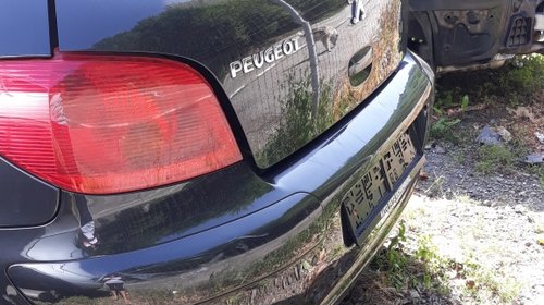 Ceasuri bord Peugeot 307 2004 Hatchback 1.6