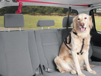 Centura siguranta animale de companie Pets Travel , prindere maner sustinere interior