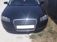 Cheder geam usa spate stanga Audi A3 8P/8PA [facelift] [2004 - 2008] Hatchback 3-usi 1.6 MT (102 hp)