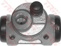 Cilindru receptor frana PEUGEOT 206 hatchback (2A/C) (1998 - 2016) TRW BWF166