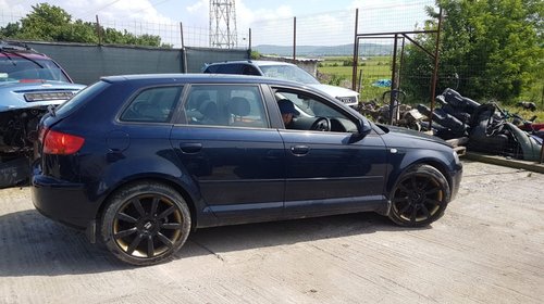 Clapeta acceleratie Audi A3 8P 2004 Hatchback 2.0 fsi