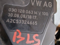 Clapeta Acceleratie Vw Audi Skoda 1.9 tdi BLS 105CP