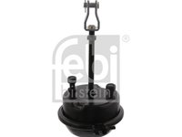 Clilindru pistonas frana cu membrana RENAULT TRUCKS Magnum WABCO 4231069000