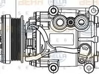 Compresor clima FORD TRANSIT CONNECT P65 P70 P80 HELLA 8FK351113311 PieseDeTop