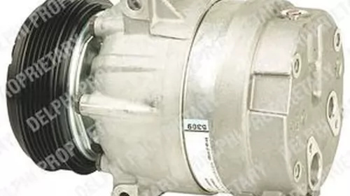 Compresor clima NISSAN INTERSTAR bus X70 DELPHI TSP0155023 PieseDeTop