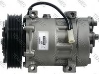 Compresor clima RENAULT TRUCKS Magnum TEAMEC 8645616