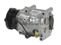 Compresor, climatizare FORD FIESTA Mk IV (JA_, JB_), FORD FOCUS (DAW, DBW), FORD FOCUS Clipper (DNW) - WAECO 8880100189