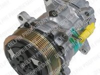 Compresor, climatizare PEUGEOT 206 hatchback (2A/C), PEUGEOT 307 (3A/C), PEUGEOT 307 SW (3H) - DELPHI TSP0155419