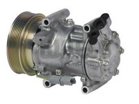 Compresor, climatizare RENAULT MODUS / GRAND MODUS (F/JP0_), RENAULT EURO CLIO III (BR0/1, CR0/1), RENAULT TWINGO II (CN0_) - WAECO 8880100265