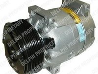 Compresor, climatizare RENAULT Scenic I (JA0/1_), RENAULT MEGANE II (BM0/1_, CM0/1_), RENAULT MEGANE II Coup-Cabriolet (EM0/1_) - DELPHI TSP0155348