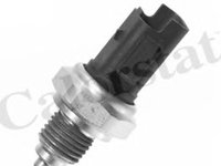 Comutator lampa marsarier CITROEN C5 III (RD_) - OEM - CALORSTAT by Vernet: RS5577 - Cod intern: W02139728 - LIVRARE DIN STOC in 24 ore!!!