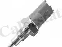 Comutator lampa marsarier RENAULT ESPACE Mk IV (JK0/1_) - OEM - CALORSTAT by Vernet: RS5584 - Cod intern: W02068355 - LIVRARE DIN STOC in 24 ore!!!