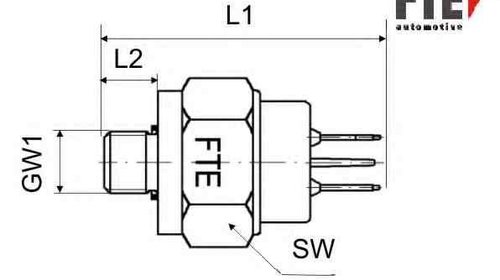 Comutator lumini frana Producator FTE H00007