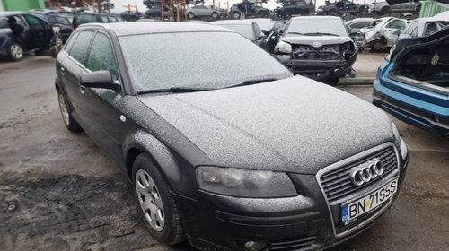 Conducta admisie 1.9 bls 3c0129654m Audi A3 8P/8PA [facelift] [2004 - 2008] Sportback hatchback 5-usi 1.9 TDI MT (105 hp) BLS