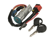 Contact electric cu 2 chei pentru Peugeot 206 (fara imobilizator)
