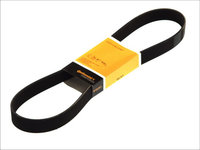 CUREA ACCESORII MAN TGX I 26.360 26.480 18.520 26.440 33.540 26.400 18.440 26.320 33.360 18.560 26.540 33.400 33.440 320cp 360cp 400cp 441cp 480cp 521cp 540cp 560cp CONTITECH 8 PK 1275 2006 2007 2008 2009 2010 2011 2012 2013 2014 2015 2016 2017 2018 