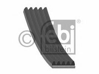 Curea accesorii RENAULT CLIO Mk II (BB0/1/2_, CB0/1/2_) (1998 - 2016) Febi Bilstein 28885