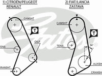 Curea de distributie 5003 GATES pentru Renault 18 Renault 20 Renault Fuego CitroEn Cx Peugeot 505 Fiat 128 Fiat Ritmo Fiat Strada Fiat Regata Fiat X Fiat Uno Renault Trafic Renault Master