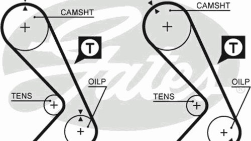 Curea de distributie 5059XS GATES pentru Rena