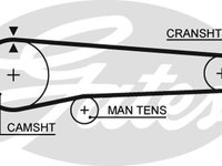 Curea de distributie 5219 GATES