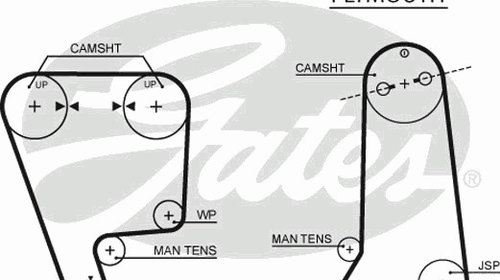 Curea de distributie 5237XS GATES pentru Rove