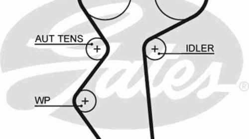 Curea de distributie 5419XS GATES pentru Daew