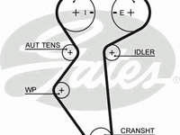 Curea de distributie 5419XS GATES pentru Chevrolet Lanos 2005 2006 2007 2008 2009 2010 2011 2012 2013 2014 2015 2016 2017 2018 2019 2020 2021 2022 2023 2024