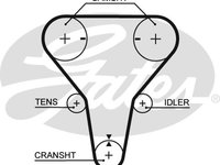 Curea de distributie (5512XS GAT) FORD ASIA / OCEANIA,MAZDA