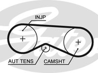Curea de distributie (5531XS GAT) AUDI,SKODA,VW