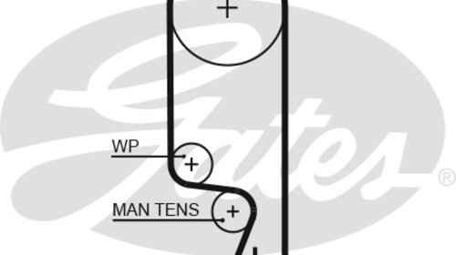 Curea de distributie (5535XS GAT) CHEVROLET,D