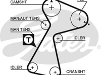 Curea de distributie (5561XS GAT) OPEL,RENAULT,VAUXHALL
