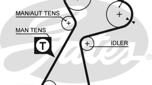 Curea de distributie (5561XS GAT) OPEL,RENAUL