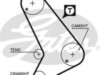 Curea de distributie 5572XS GATES pentru Ford Transit