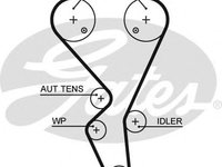 Curea de distributie 5581XS GATES pentru CitroEn C3 CitroEn Xsara Peugeot 308 Peugeot 207 Peugeot Grand Peugeot Partner Peugeot Ranch CitroEn Berlingo Peugeot 307 Peugeot 206 CitroEn C2 CitroEn C4 Peugeot 1007 CitroEn C-elysee Peugeot 301