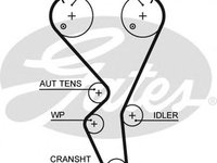 Curea de distributie 5615XS GATES pentru Peugeot 206 CitroEn C3 Peugeot 307 CitroEn C4 Peugeot 1007 Peugeot 207 CitroEn C2