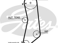 Curea de distributie (5627XS GAT) ALFA ROMEO,CHRYSLER,FIAT,FORD,LANCIA,TATA,ZASTAVA