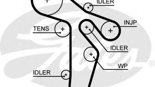 Curea de distributie 5648XS GATES pentru Skod